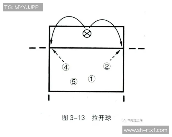 北京排球队快攻战术解析与深度剖析排球竞技的魅力与挑战MBA